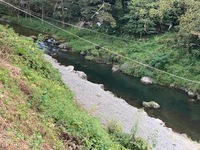 秩父フライフィールド 釣果