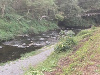 秩父フライフィールド 釣果