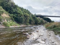 秩父フライフィールド 釣果