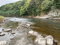 秩父フライフィールド 釣果