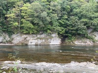 秩父フライフィールド 釣果