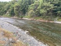 秩父フライフィールド 釣果