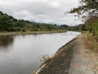 秩父フライフィールド 釣果