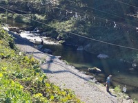 秩父フライフィールド 釣果