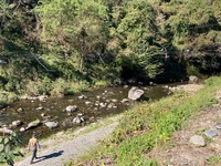 秩父フライフィールド 釣果