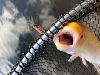 平谷湖フィッシングスポット 釣果