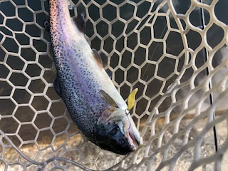 平谷湖フィッシングスポット 釣果