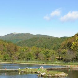 平谷湖フィッシングスポット 釣果