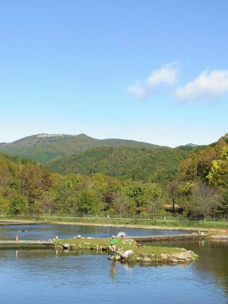 平谷湖フィッシングスポット 釣果