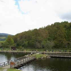 平谷湖フィッシングスポット 釣果