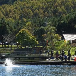 平谷湖フィッシングスポット 釣果