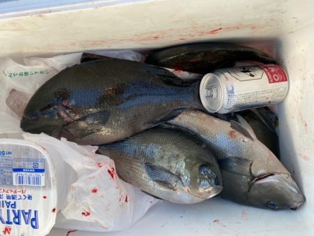 千津丸 釣果