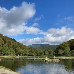 平谷湖フィッシングスポット 釣果