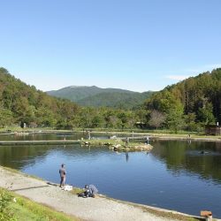 平谷湖フィッシングスポット 釣果