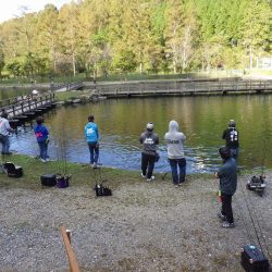 平谷湖フィッシングスポット 釣果