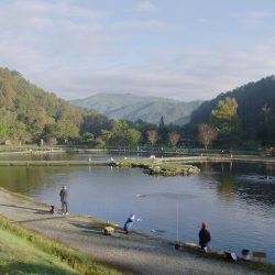 平谷湖フィッシングスポット 釣果