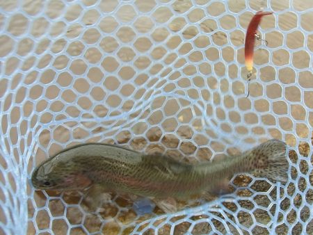 平谷湖フィッシングスポット 釣果