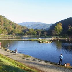 平谷湖フィッシングスポット 釣果