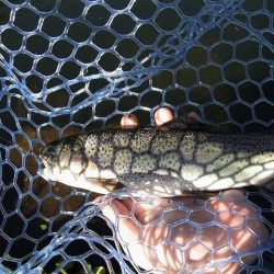 平谷湖フィッシングスポット 釣果