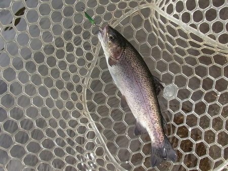 平谷湖フィッシングスポット 釣果