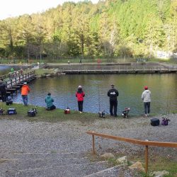 平谷湖フィッシングスポット 釣果