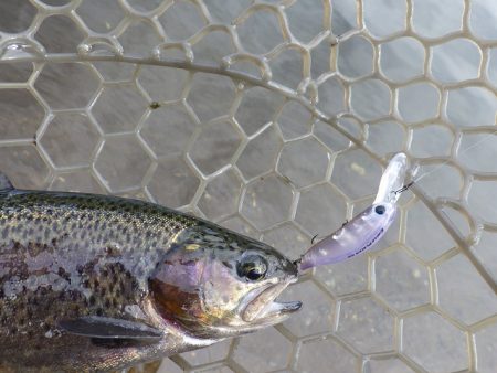 平谷湖フィッシングスポット 釣果