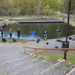 平谷湖フィッシングスポット 釣果