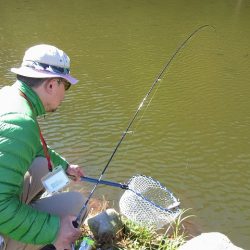 平谷湖フィッシングスポット 釣果
