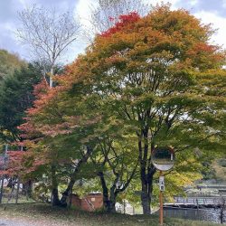 平谷湖フィッシングスポット 釣果