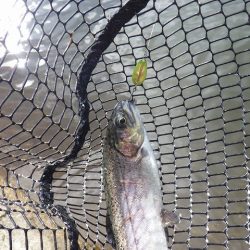 平谷湖フィッシングスポット 釣果