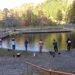 平谷湖フィッシングスポット 釣果