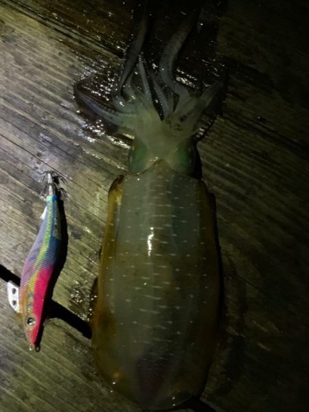 あみや渡船 釣果