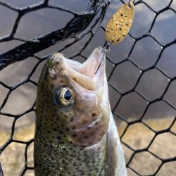 平谷湖フィッシングスポット 釣果