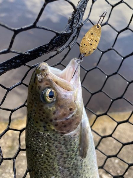平谷湖フィッシングスポット 釣果