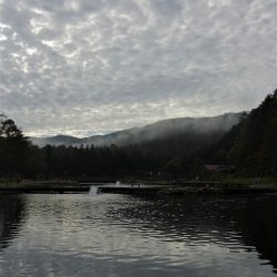 平谷湖フィッシングスポット 釣果