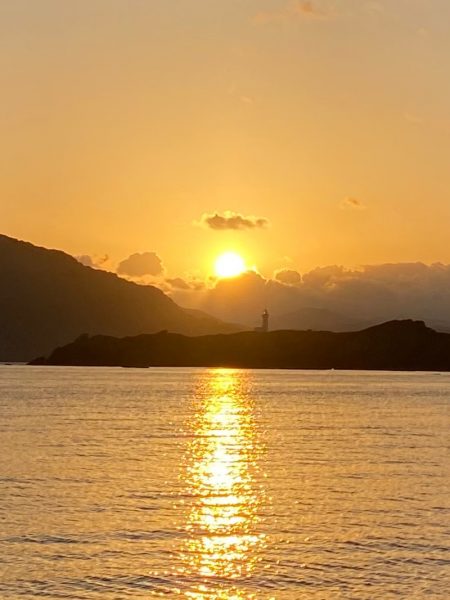 あみや渡船 釣果