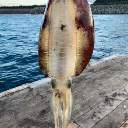 あみや渡船 釣果