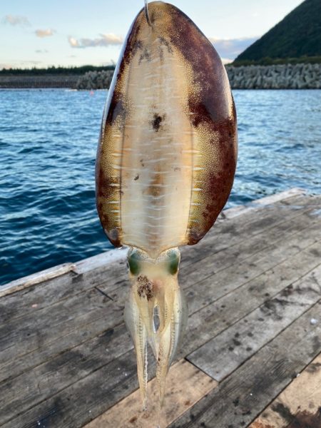 あみや渡船 釣果