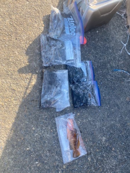 あみや渡船 釣果