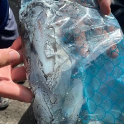 あみや渡船 釣果