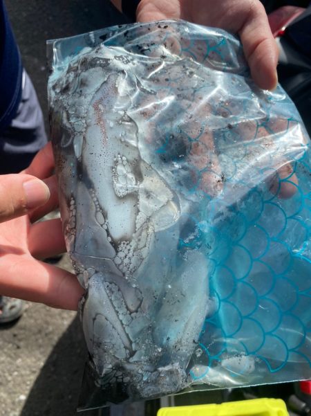 あみや渡船 釣果