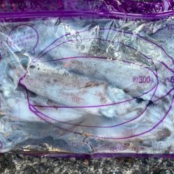 あみや渡船 釣果