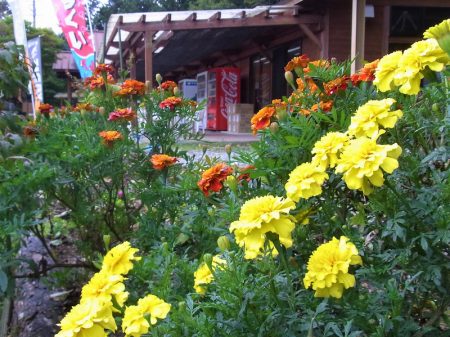 平谷湖フィッシングスポット 釣果