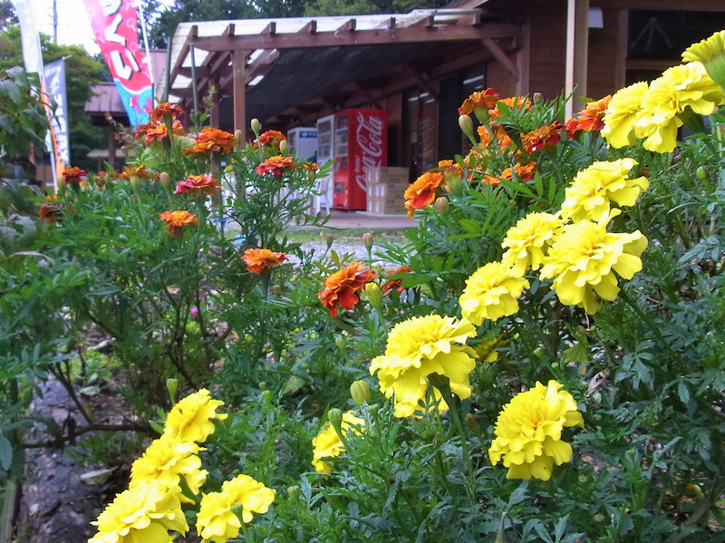 平谷湖フィッシングスポット 釣果