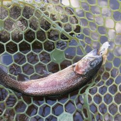 平谷湖フィッシングスポット 釣果