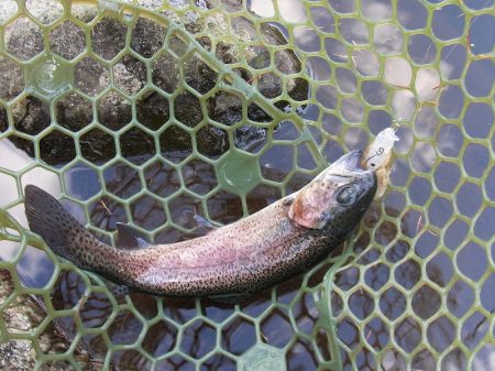 平谷湖フィッシングスポット 釣果