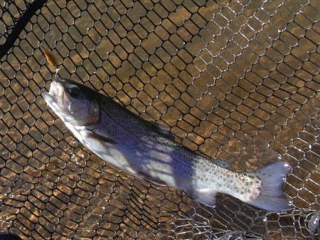 平谷湖フィッシングスポット 釣果