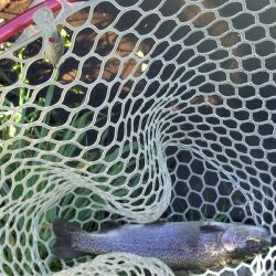 平谷湖フィッシングスポット 釣果