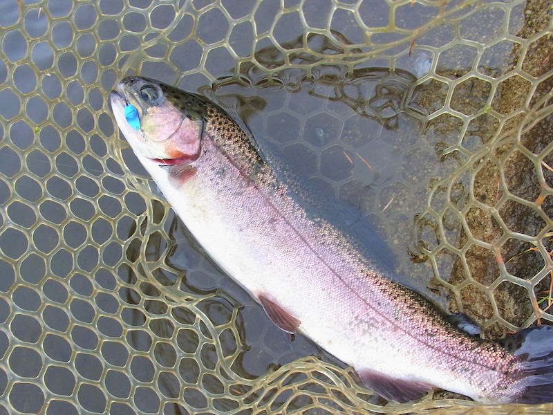 平谷湖フィッシングスポット 釣果