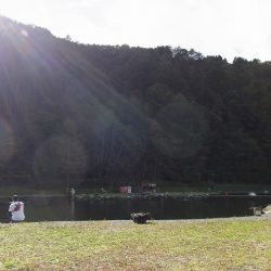 平谷湖フィッシングスポット 釣果